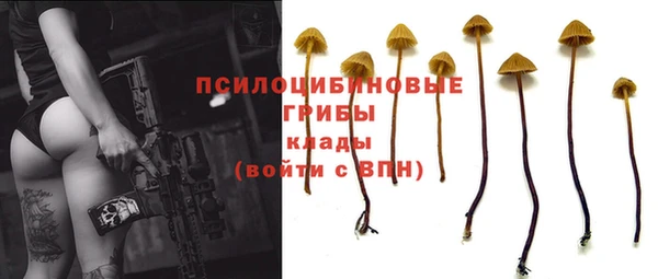 МДМА Белокуриха