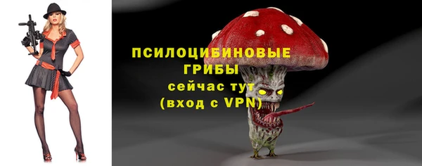 спайс Богданович