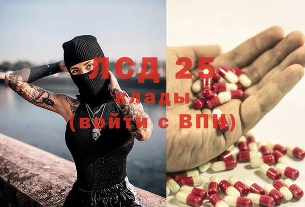 индика Пересвет