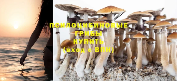 МДМА Белокуриха