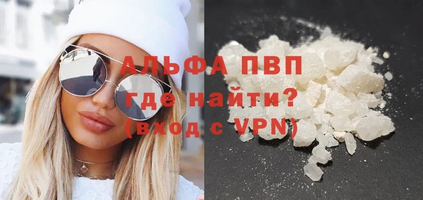 спайс Богданович
