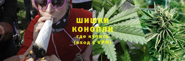 mdpv Богородск