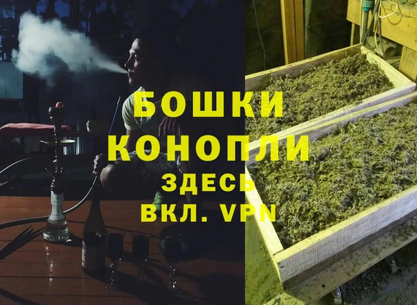 mdpv Богородск
