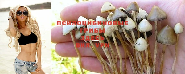 синтетический гашиш Богородицк