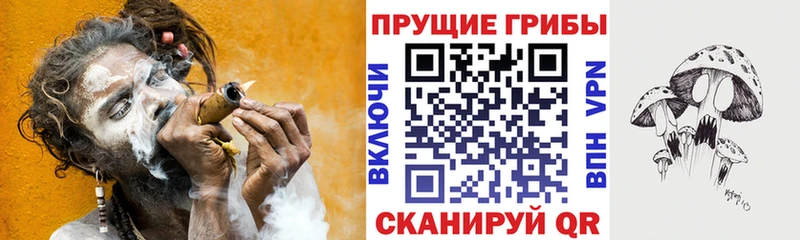 Галлюциногенные грибы прущие грибы Медногорск